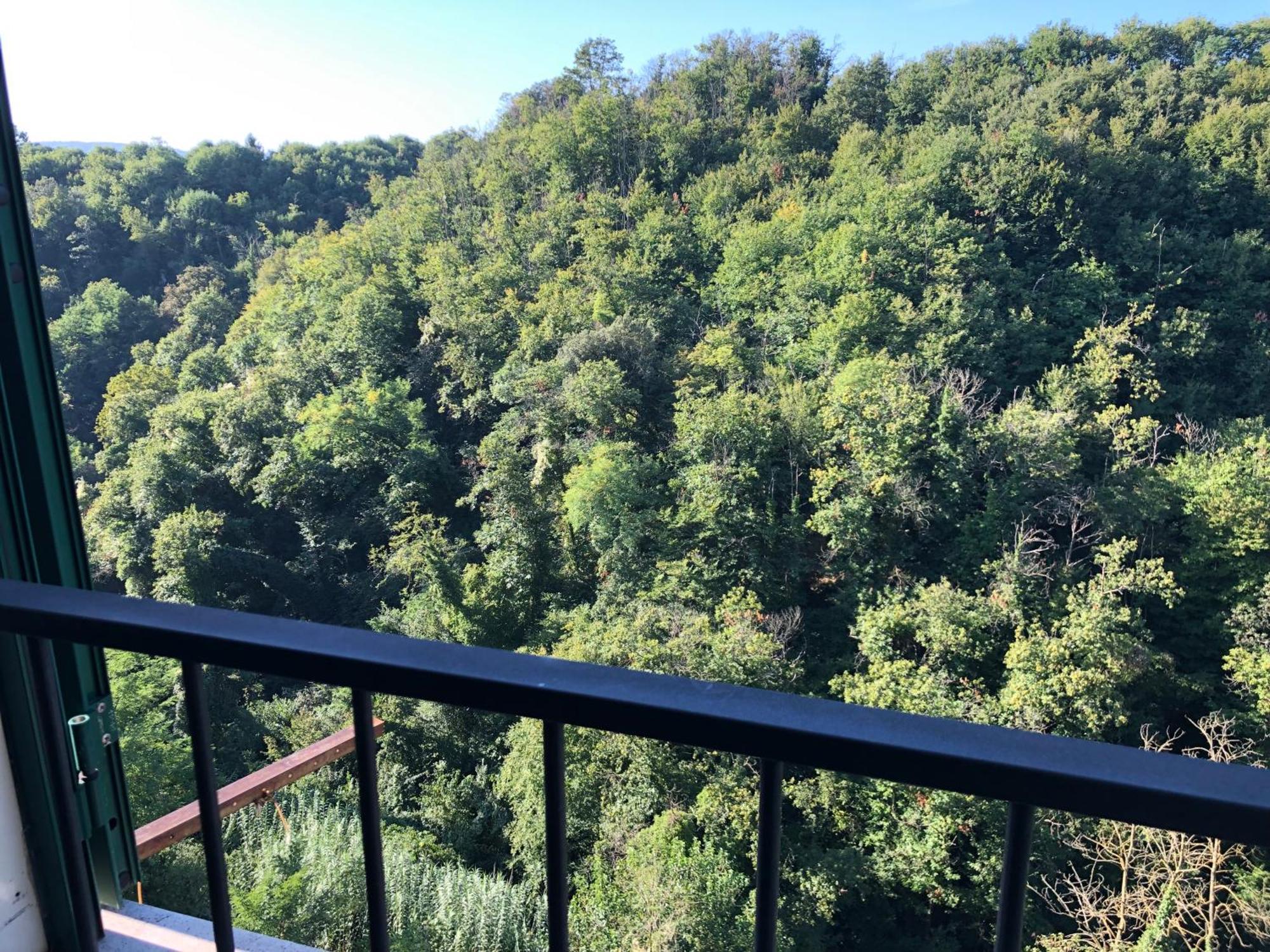 Le Di Nonna Gina Apartment Capranica